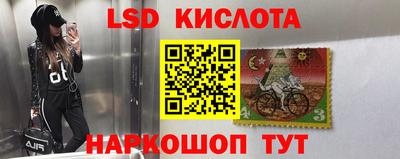 прущие грибы Канаш