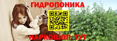 прущие грибы Канаш