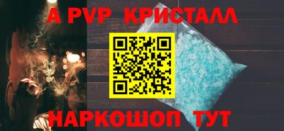 спиды Камышлов